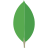 'MongoDB logo